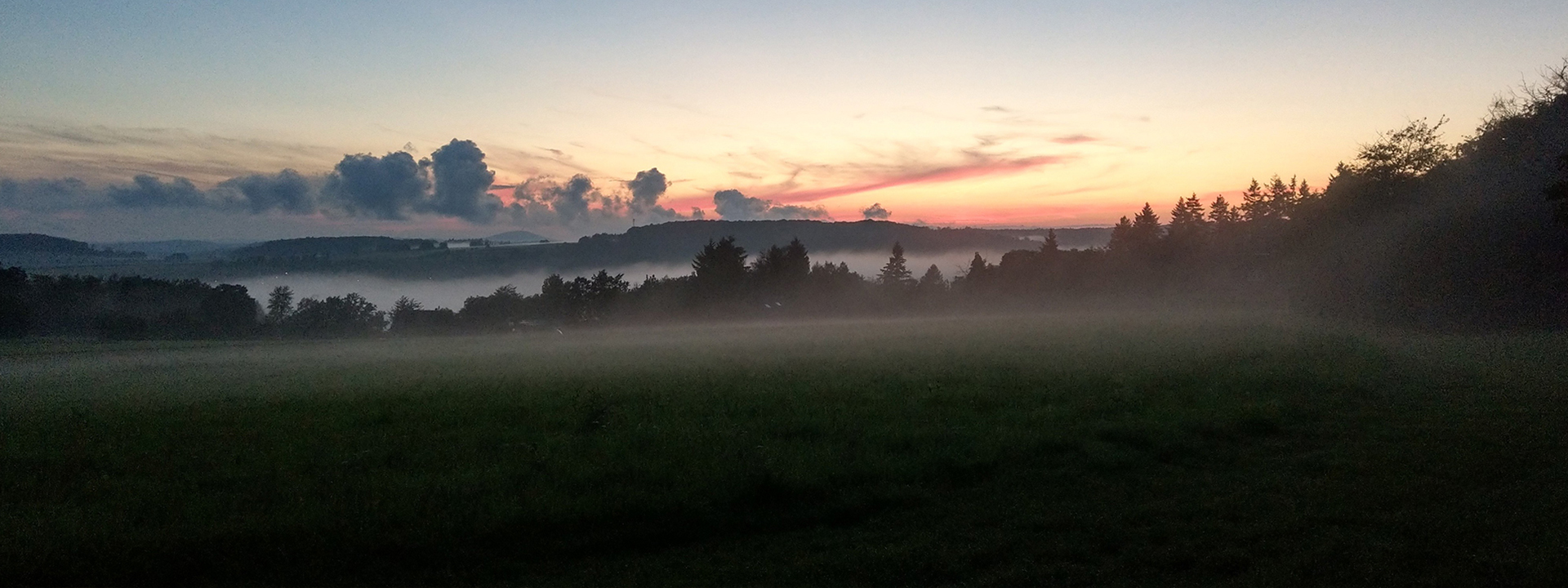 Nebeliger Wald am Morgen in Beuern